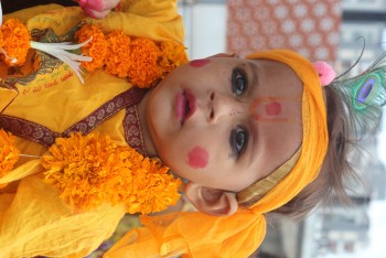 janmashtami celebration by creative multimedia institute